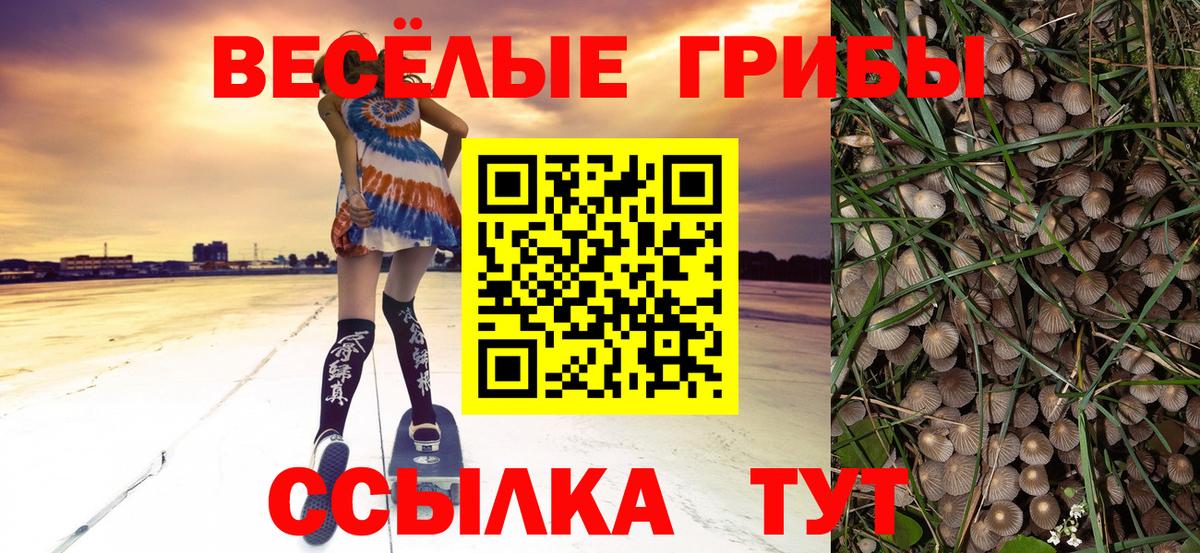 Галлюциногенные грибы Cubensis Обь